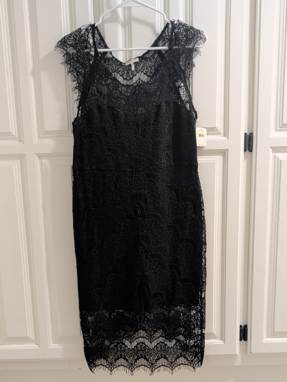 Free People Eyelash Lace Peekaboo Illusion Dress